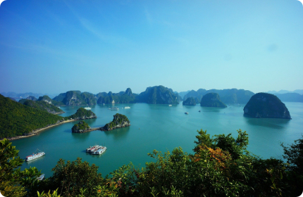 Vietnam Discovery