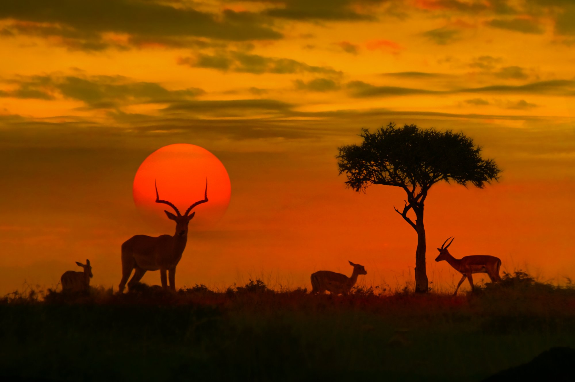 Magnificent South Africa