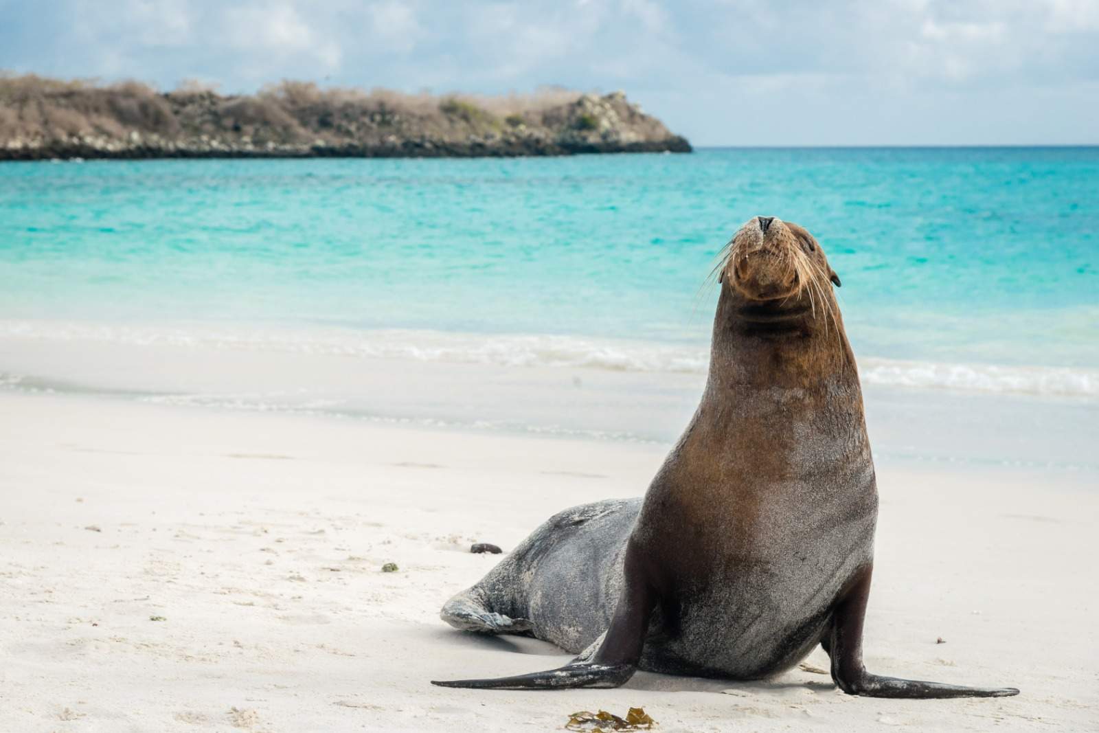 Ecuador & Galapagos Islands