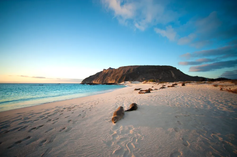 Ecuador & Galapagos Islands