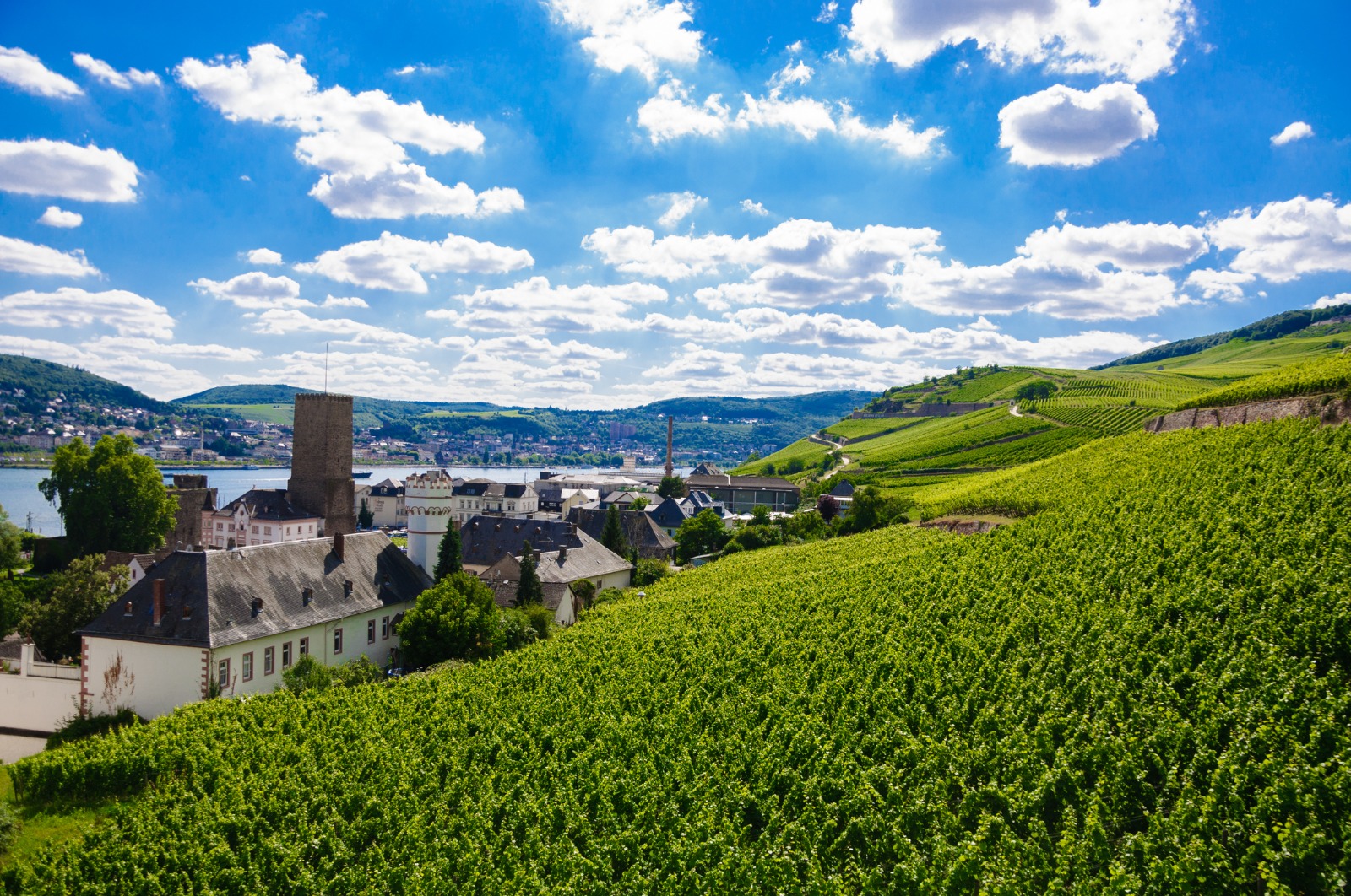 10day River cruise package vacation on the Rhine Flight included