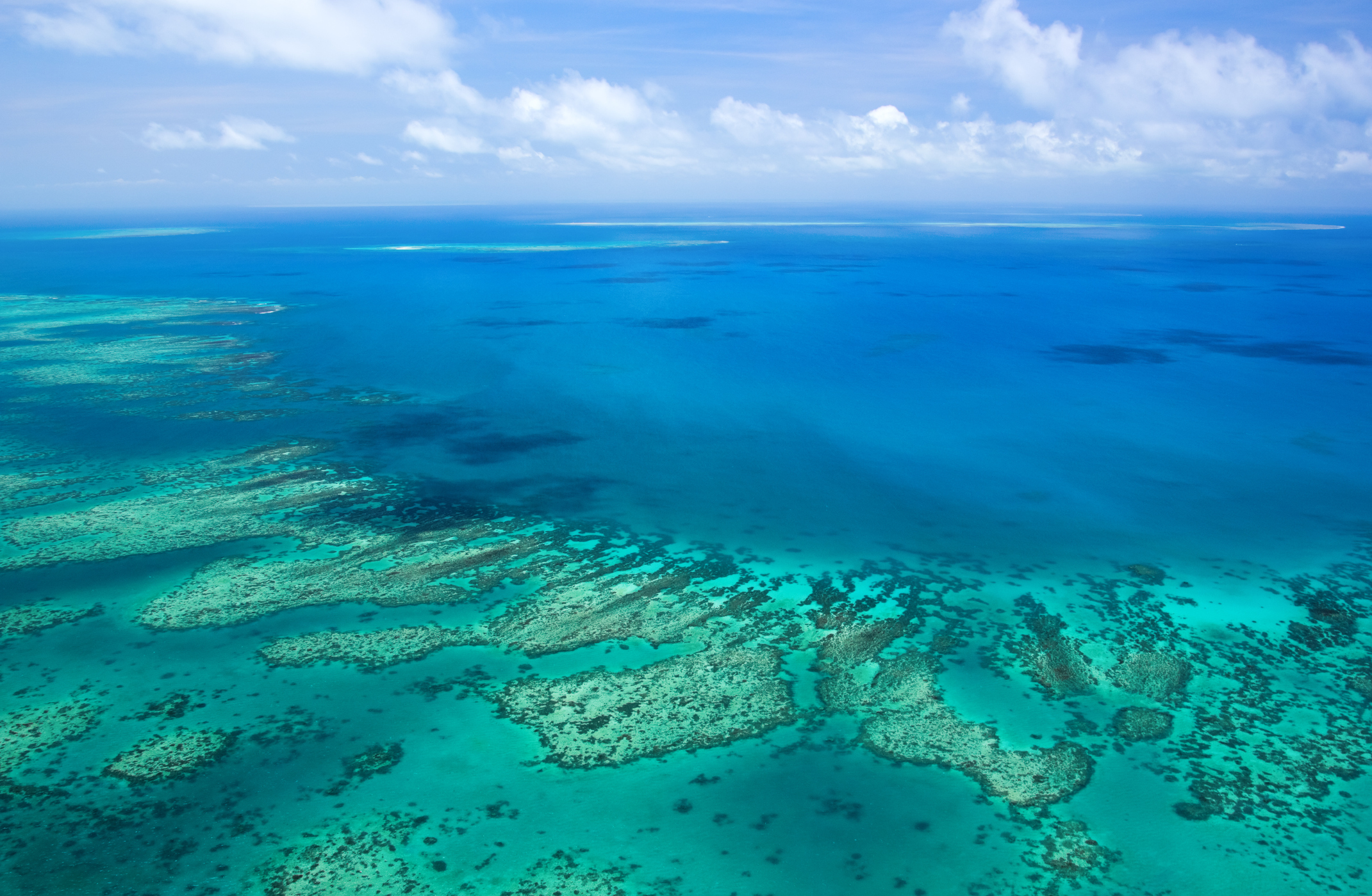 Grande découverte de l'Australie