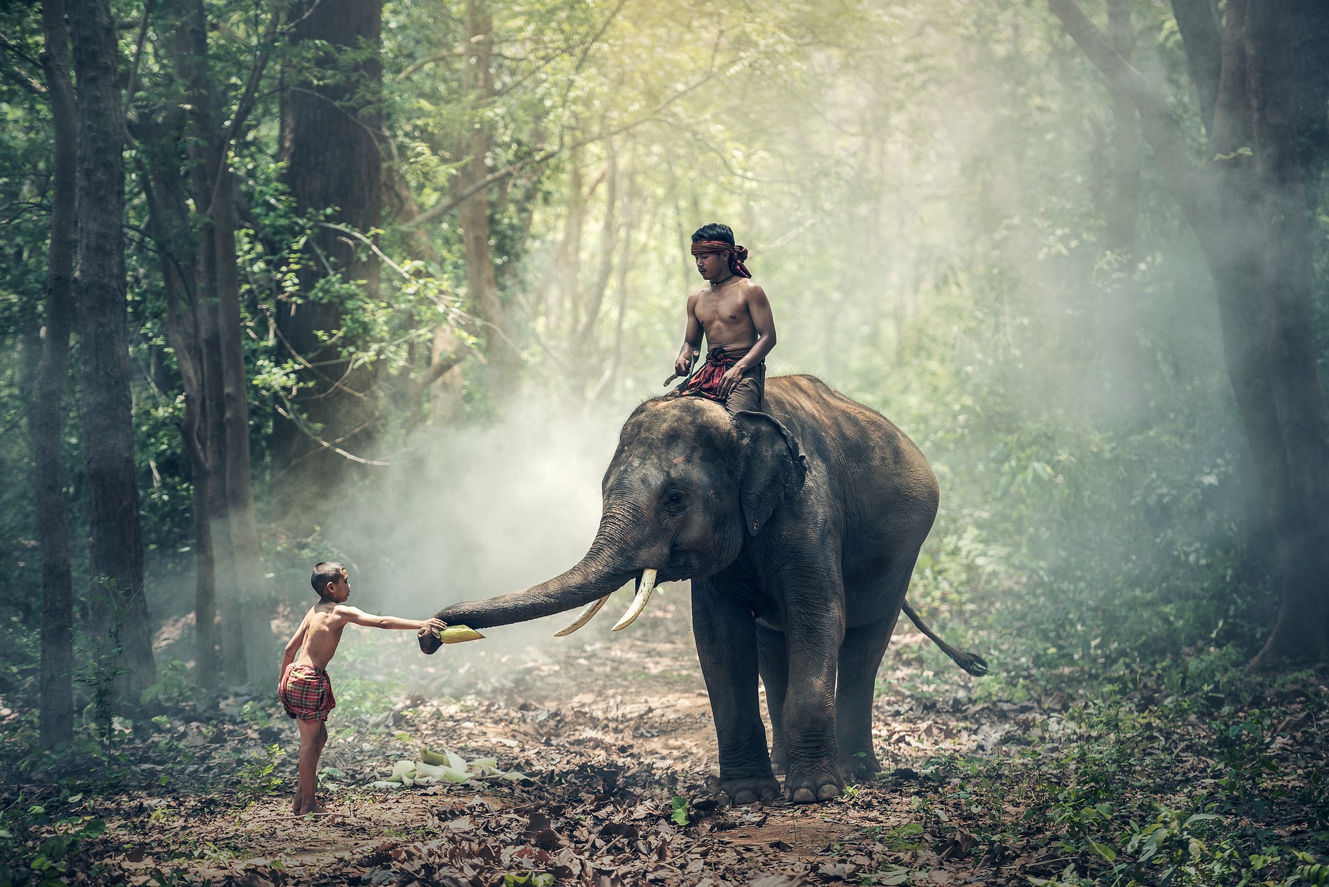 Fusion Vietnam & Cambodge