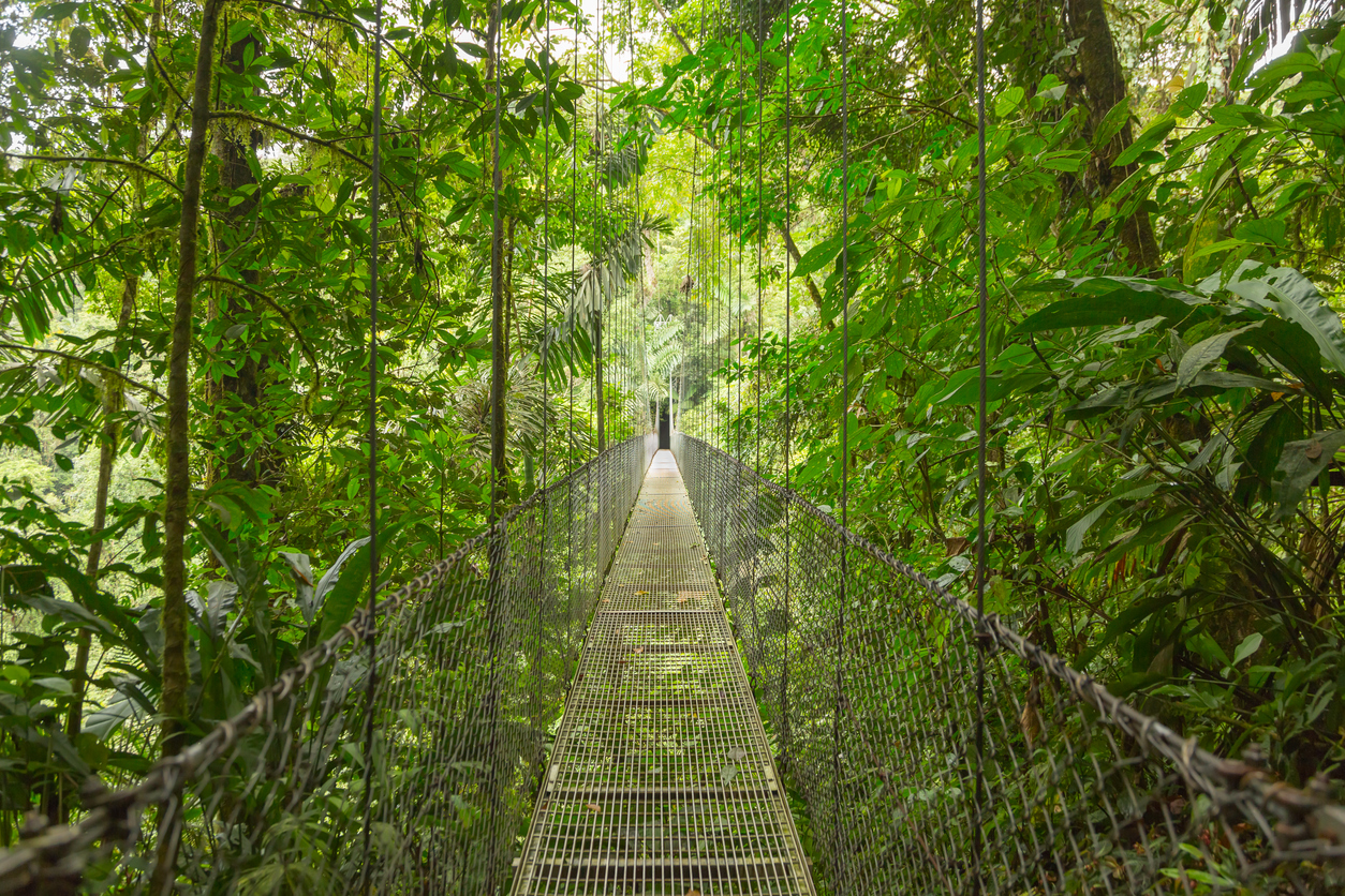 Costa Rica Escape