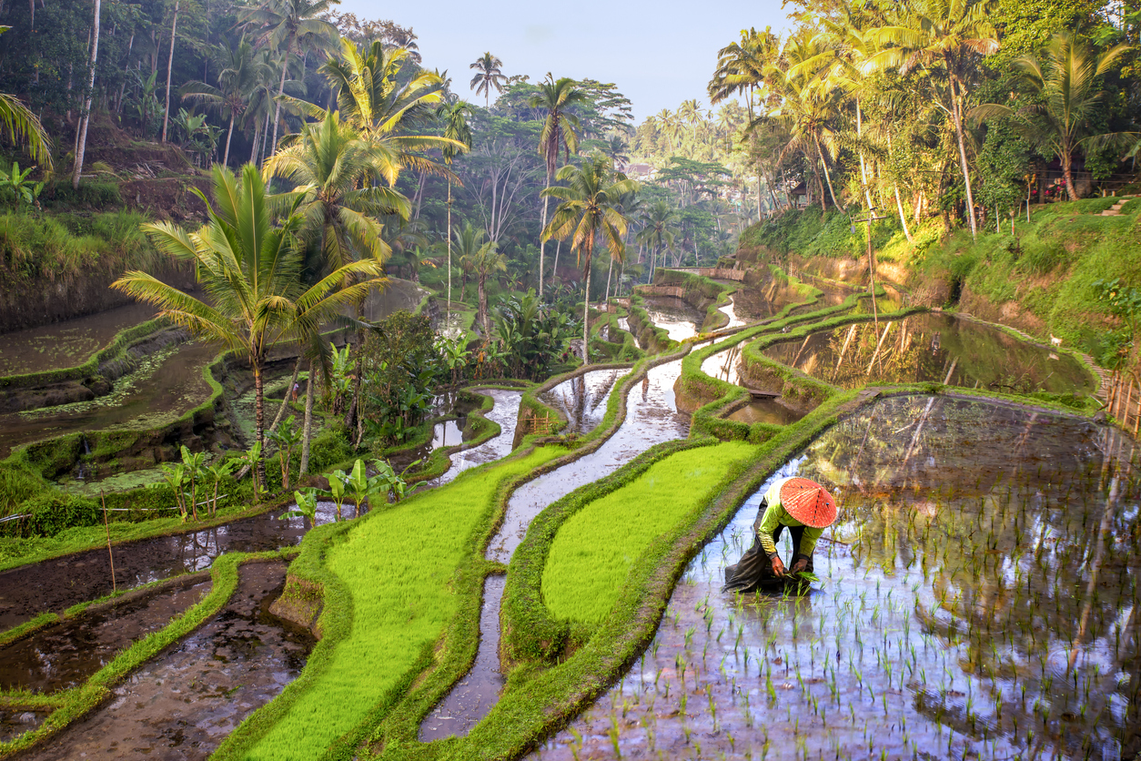 Voyage de Rêve à Bali