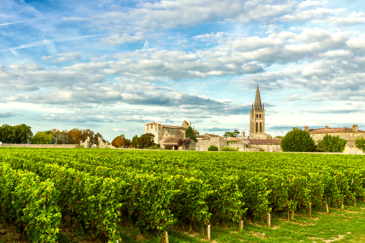 La France, ses vins et ses châteaux