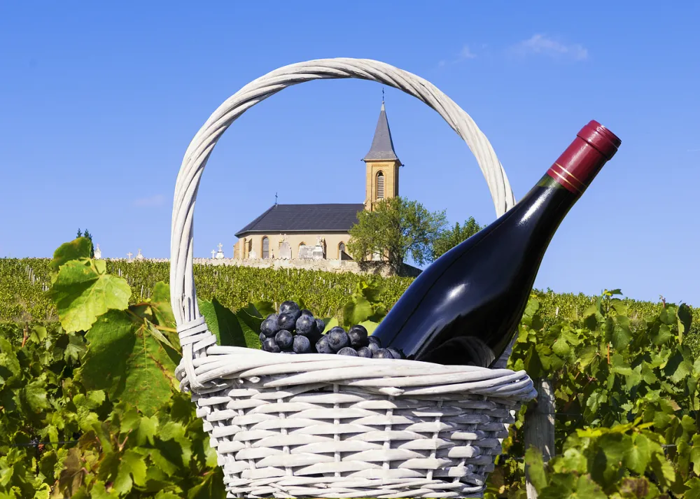 France: Wines & Castles