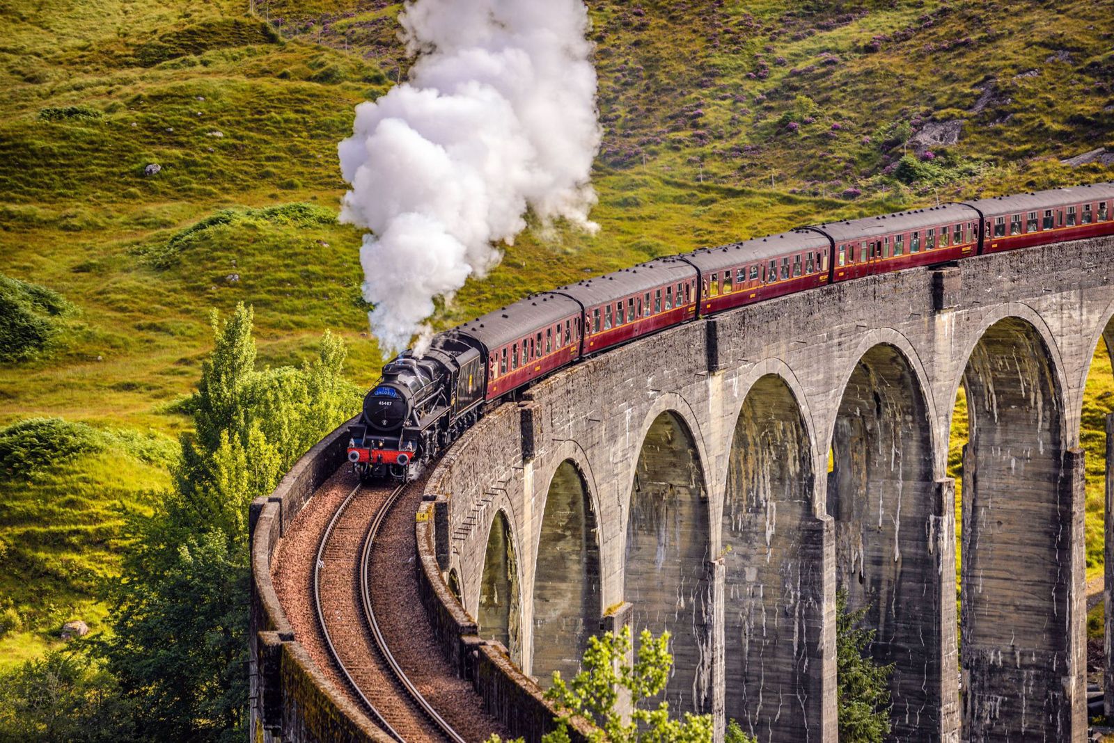 Best of Scotland!
