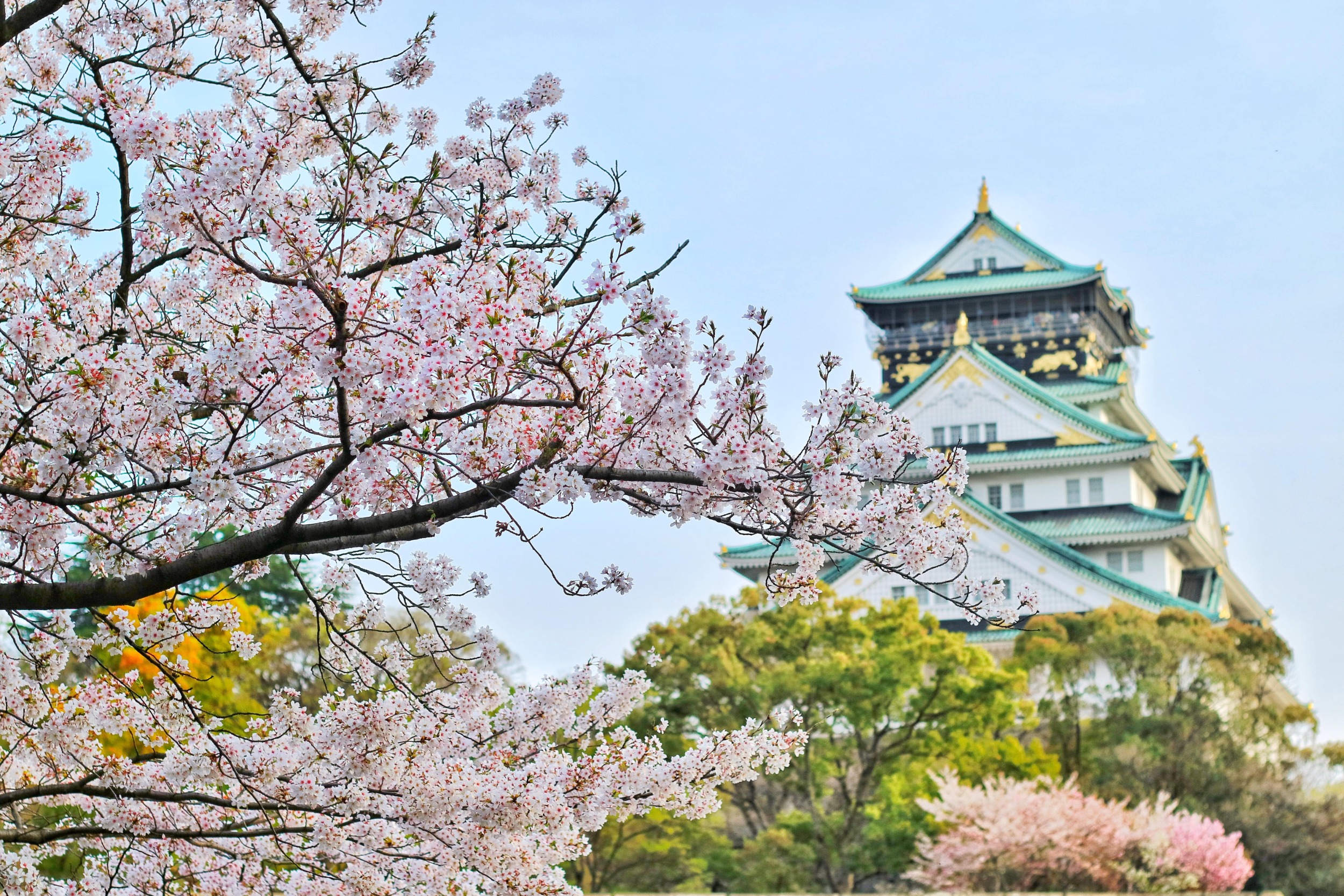 Japan Great discovery 2025