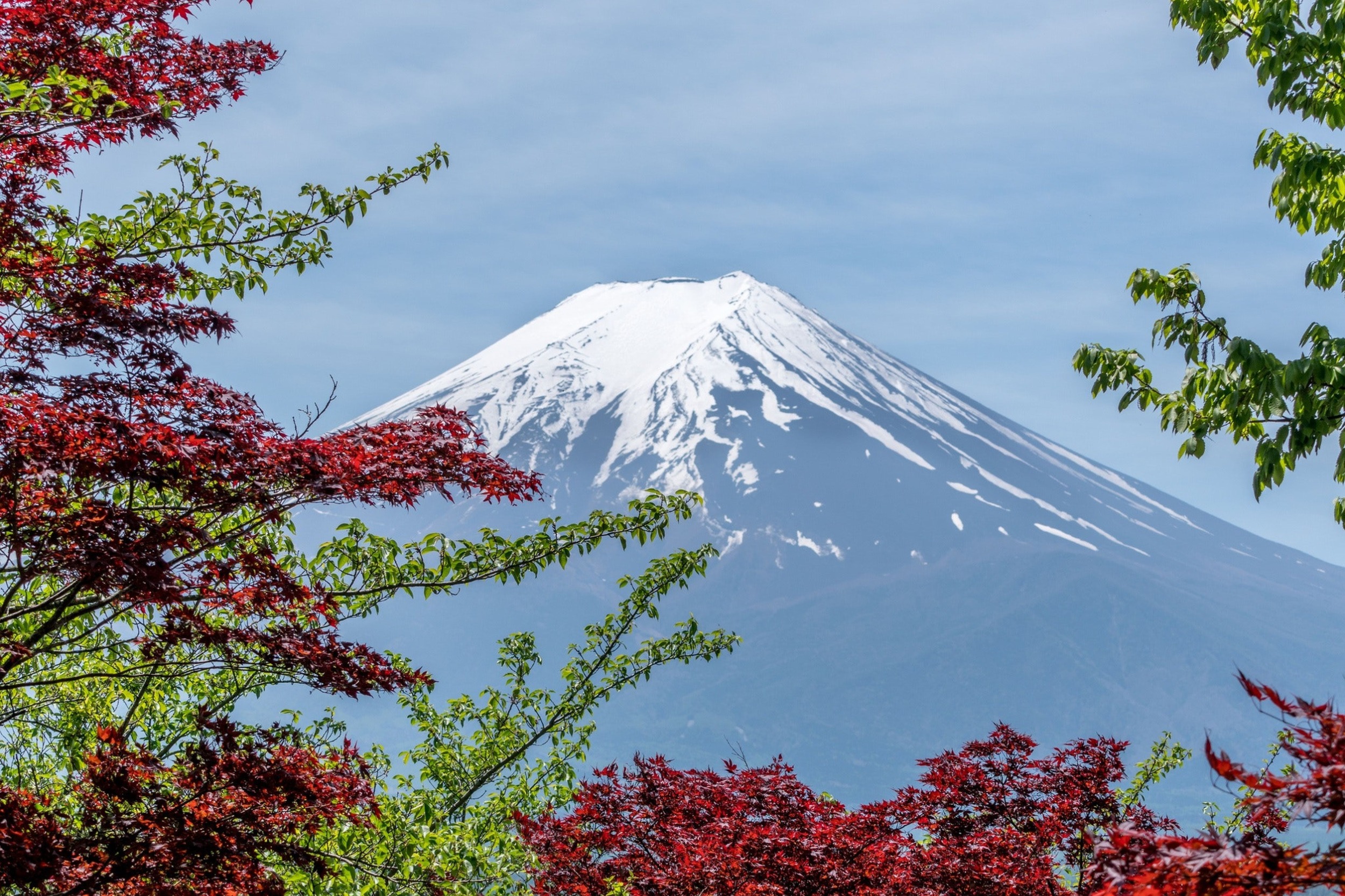 Japan Great discovery 2025