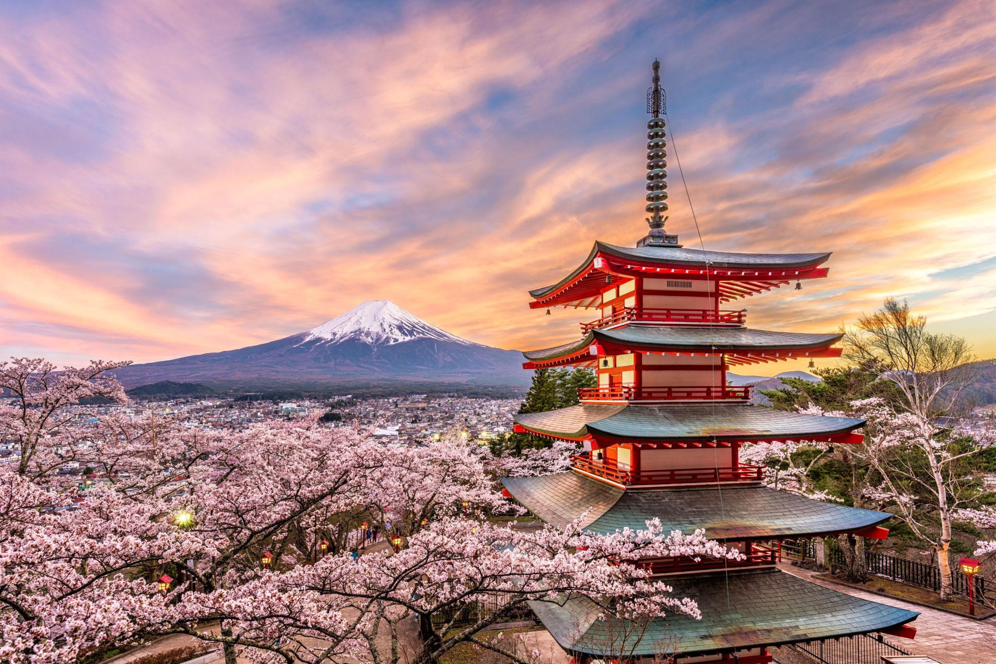 Japan Great discovery 2025