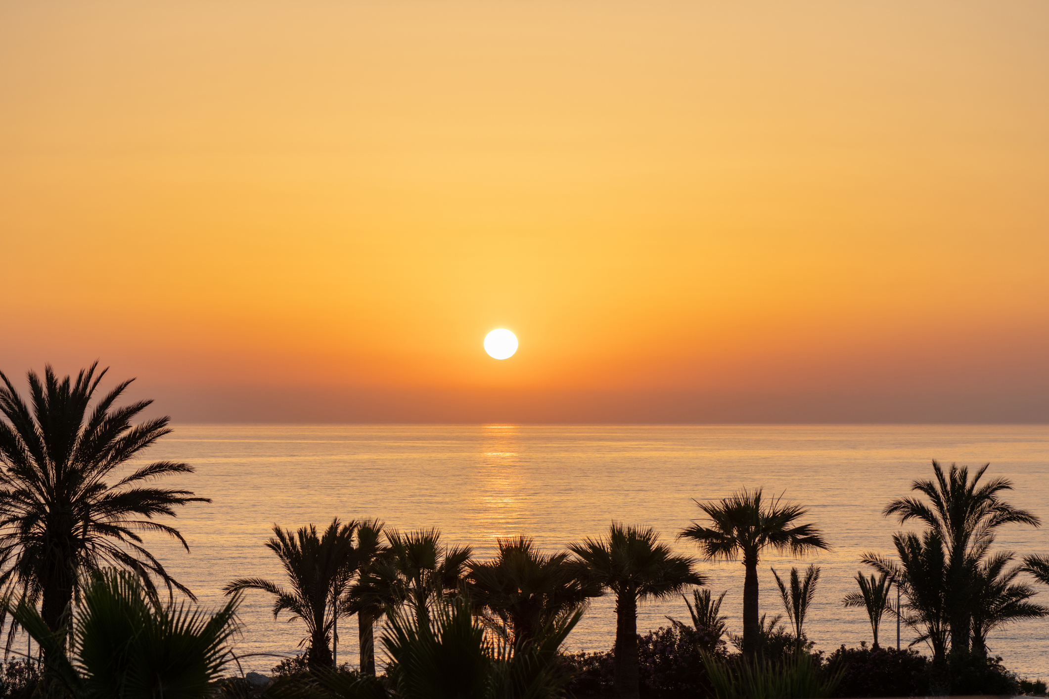 4 weeks - All inclusive Tunisia Beach Stay