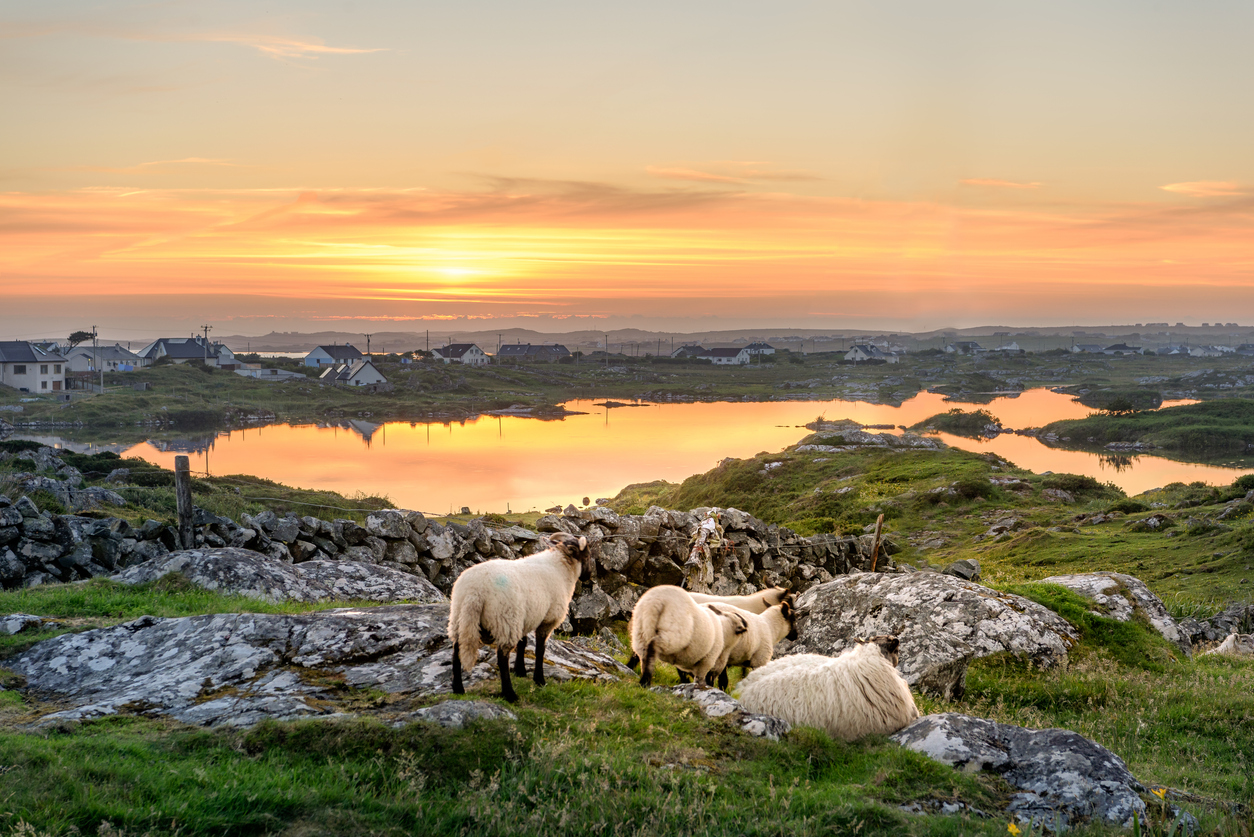 Le meilleur de l'Irlande