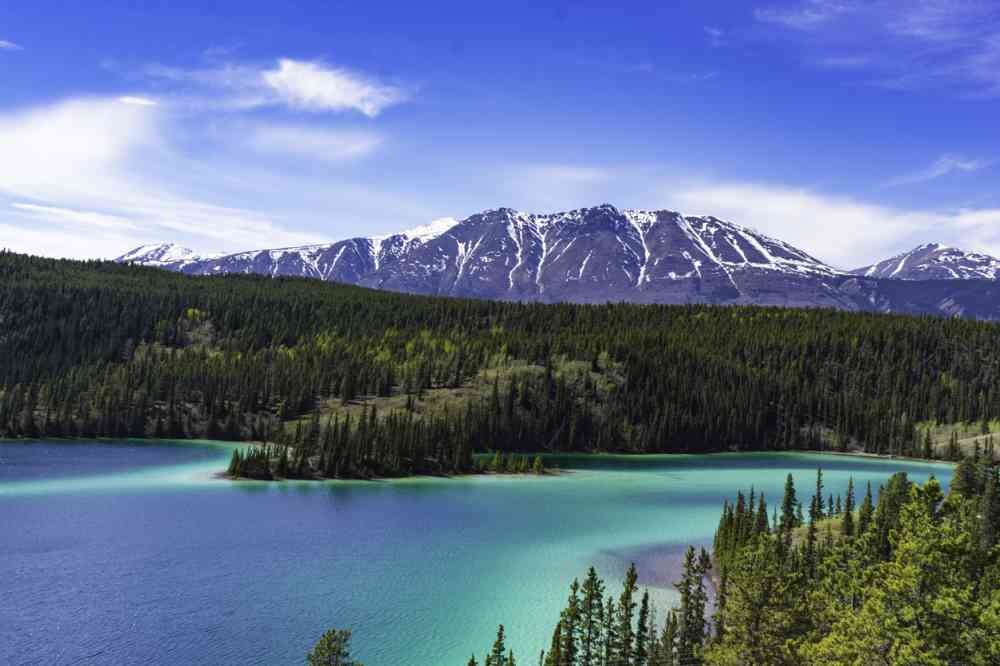 Croisière en Alaska
