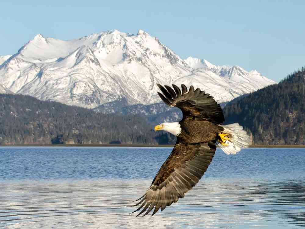 Alaska Cruise