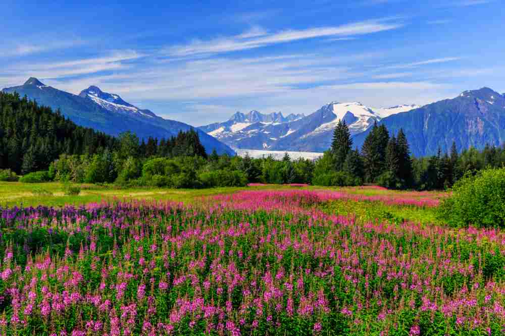 Alaska Cruise