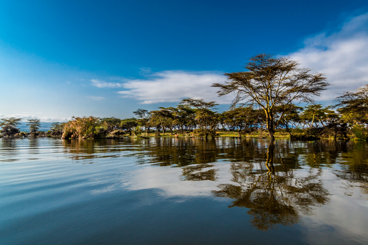 Ultimate Kenya Safari!