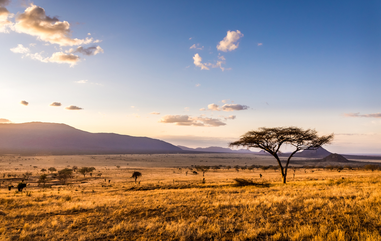 Ultimate Kenya Safari!