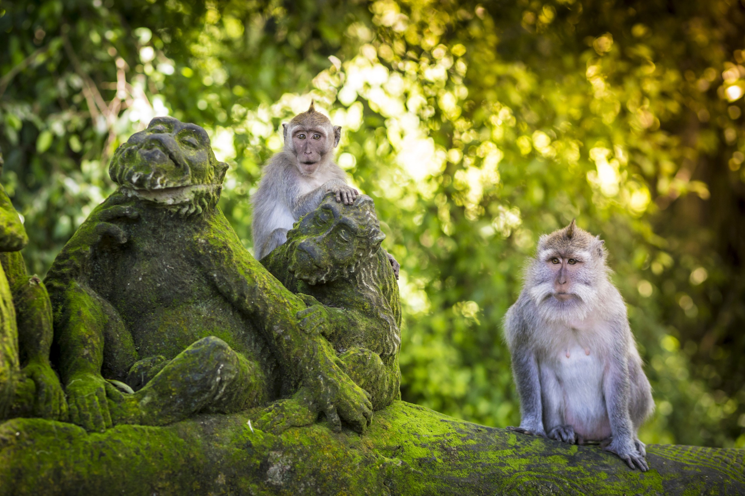 Bali & Thailand Discovery