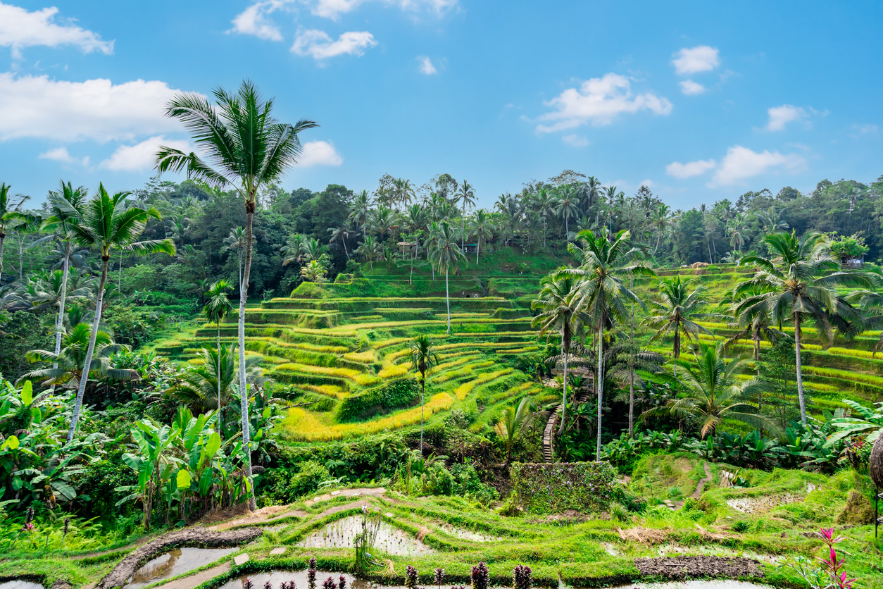 Bali & Singapour