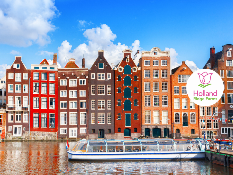 Holland and its Tulips