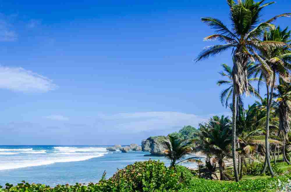 Caribbean Dream Cruise