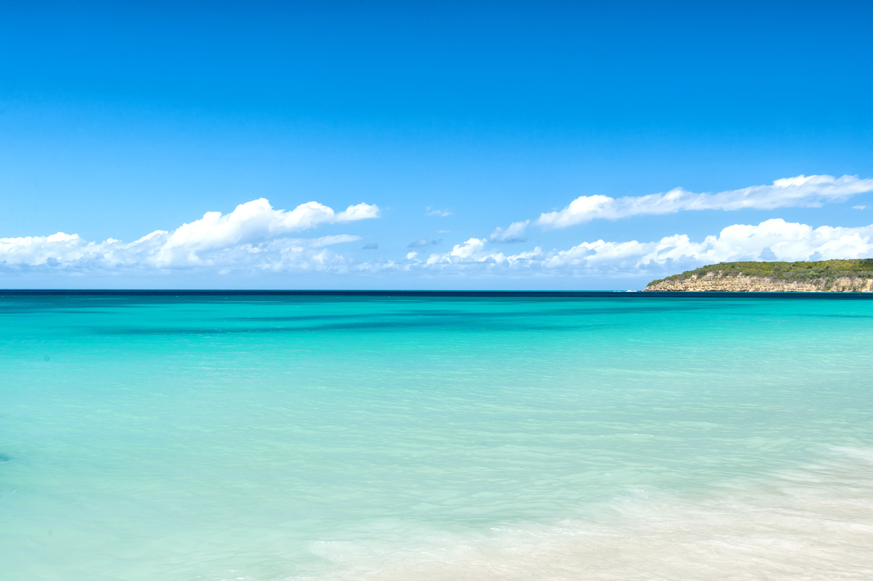 Caribbean Dream Cruise