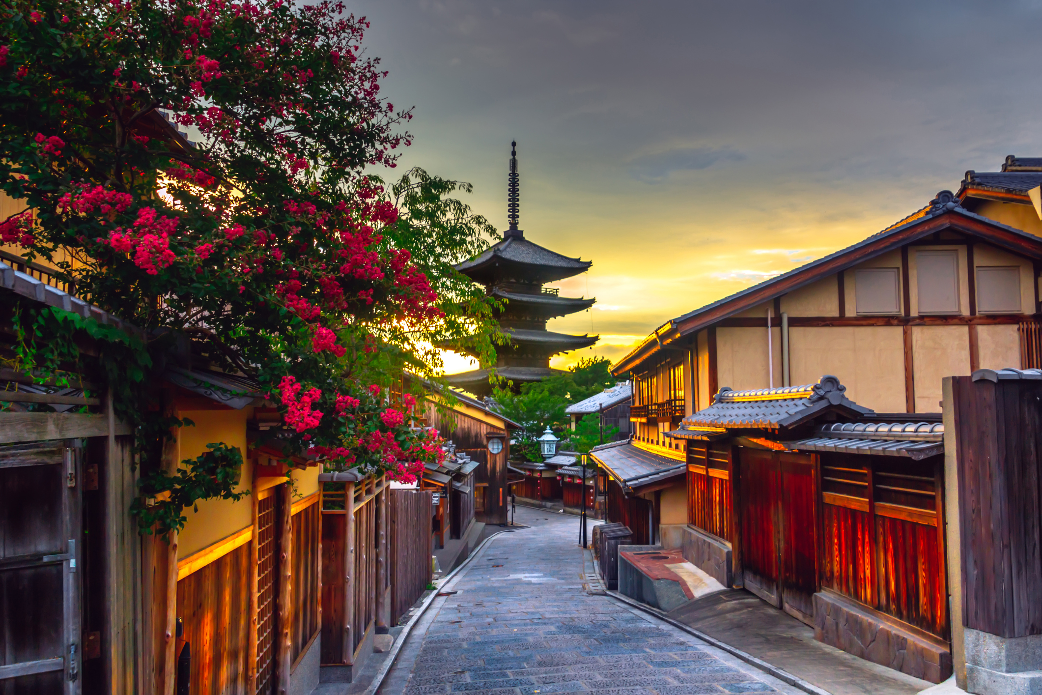 Best of Japan Cruise!