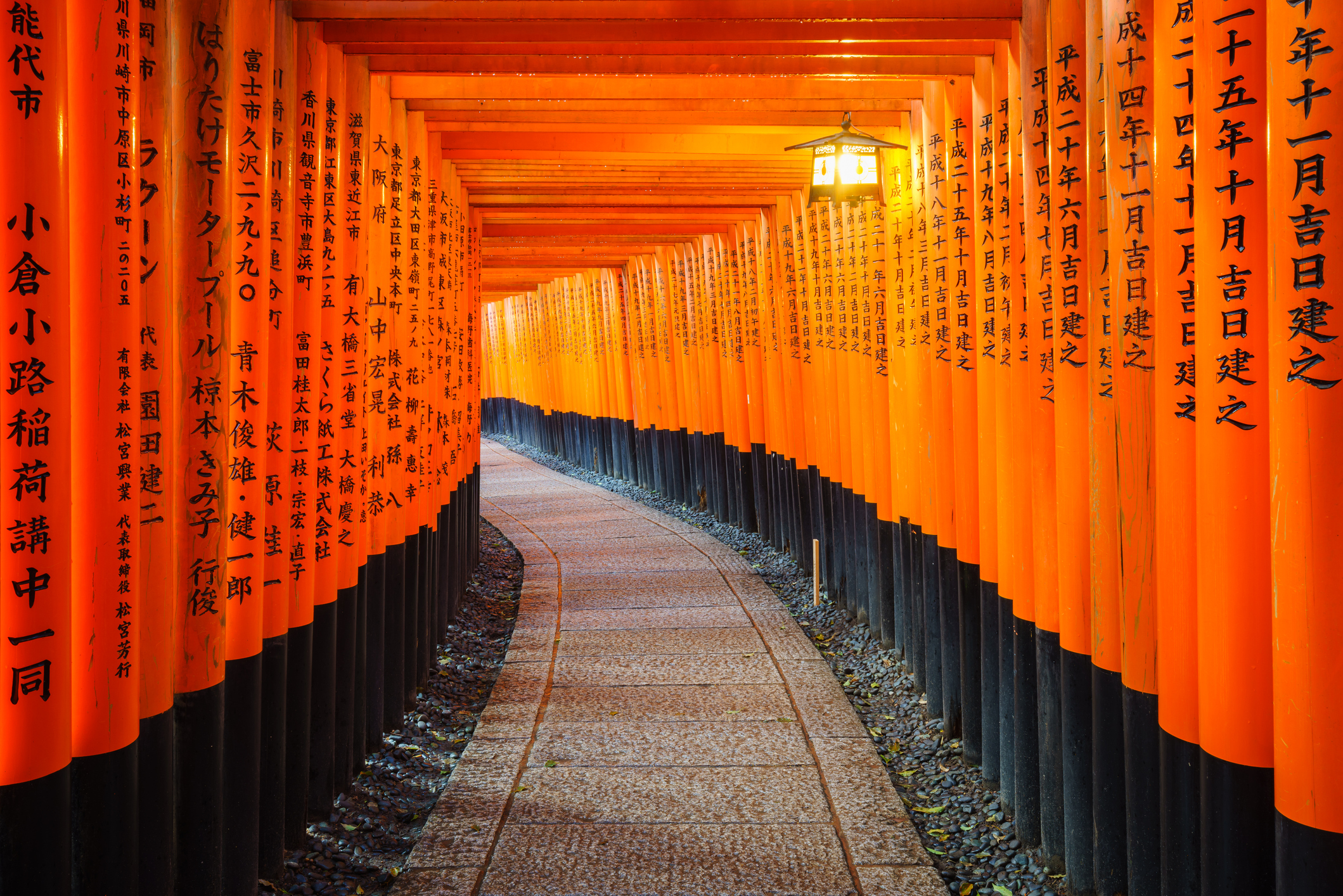 Best of Japan Cruise!
