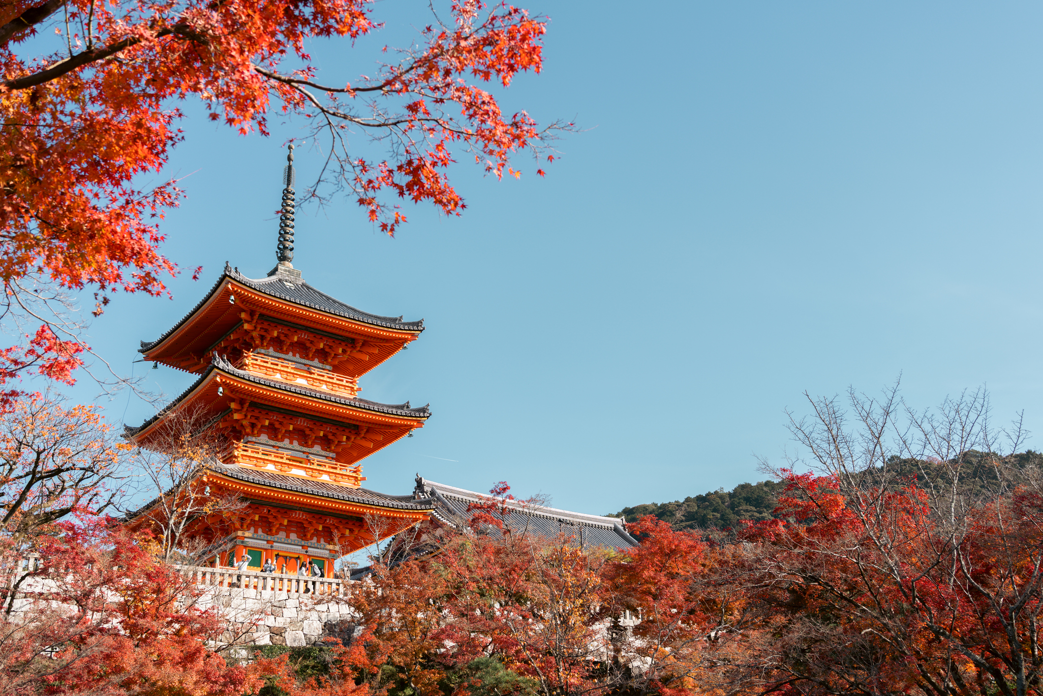 Best of Japan Cruise!