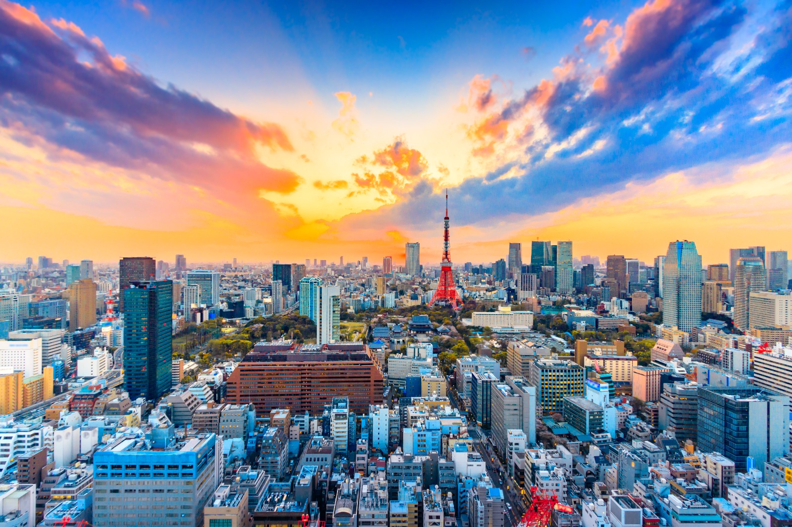 Best of Japan Cruise!