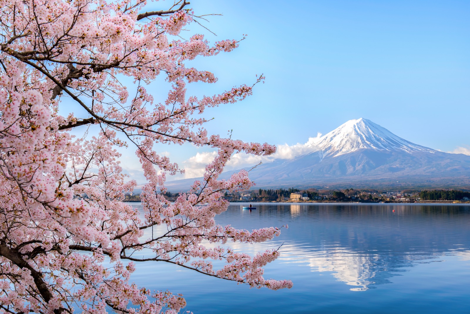 Best of Japan Cruise!