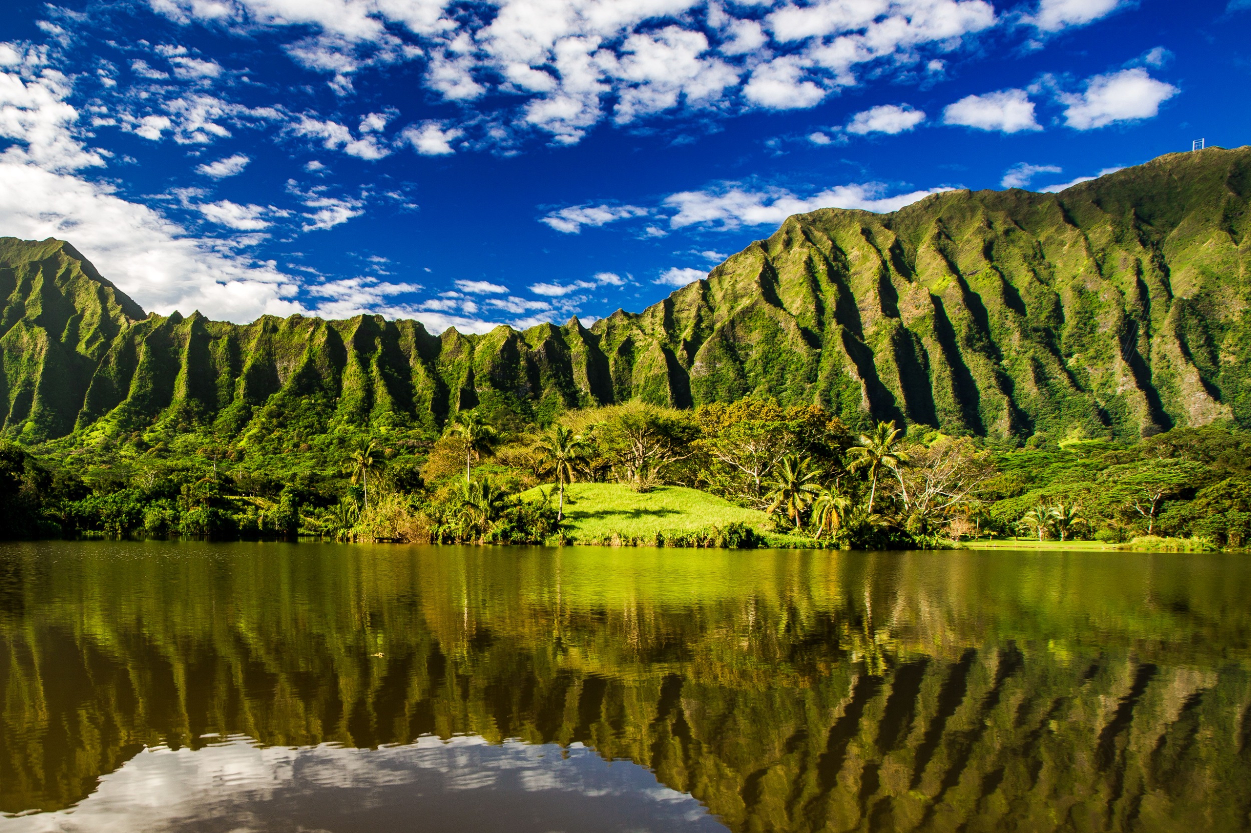 Croisière à Hawaï