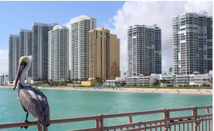 Cruise St-Thomas, Tortola, Stirrup Cay, and more!