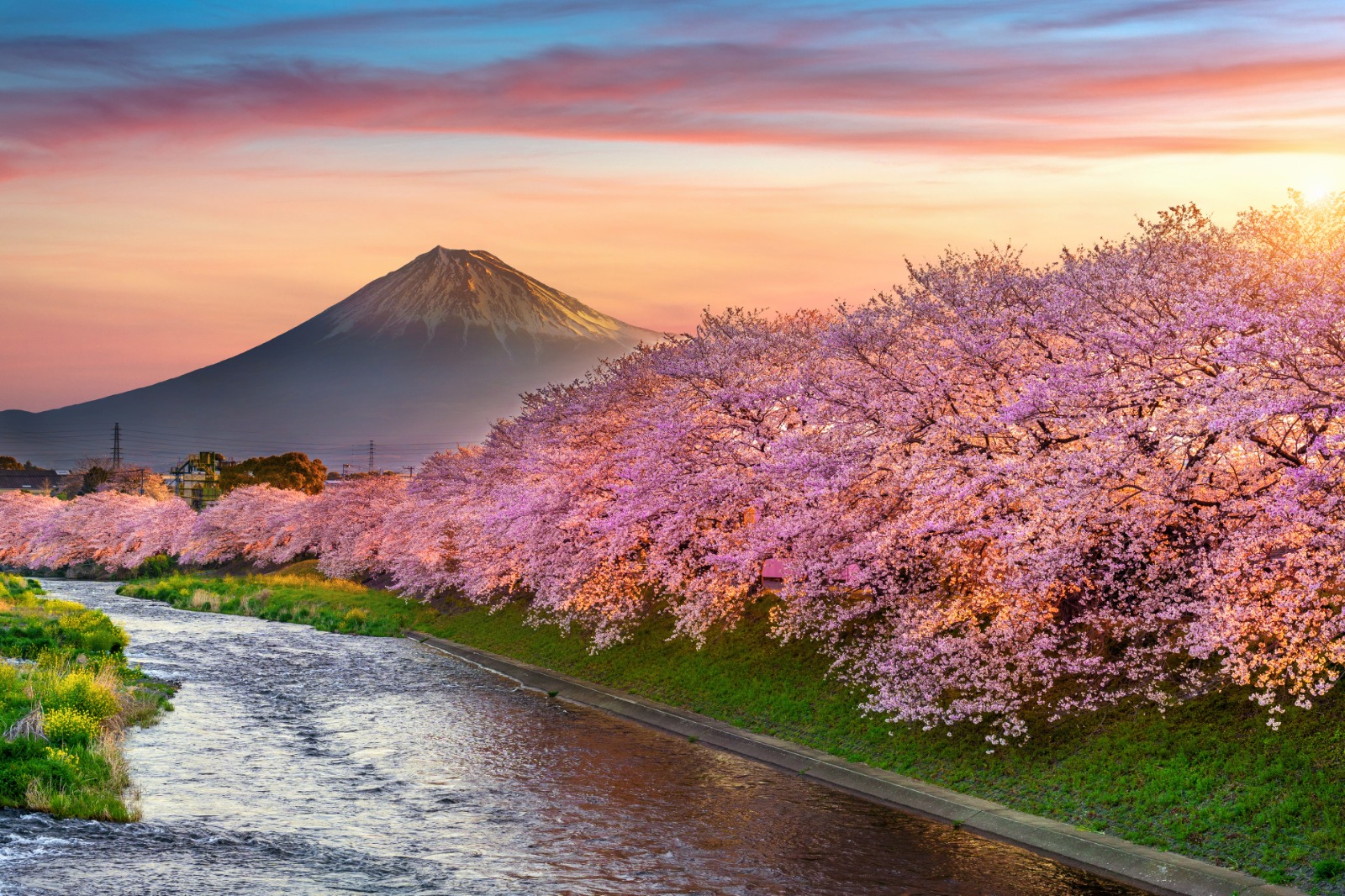 Japan Great discovery 2026