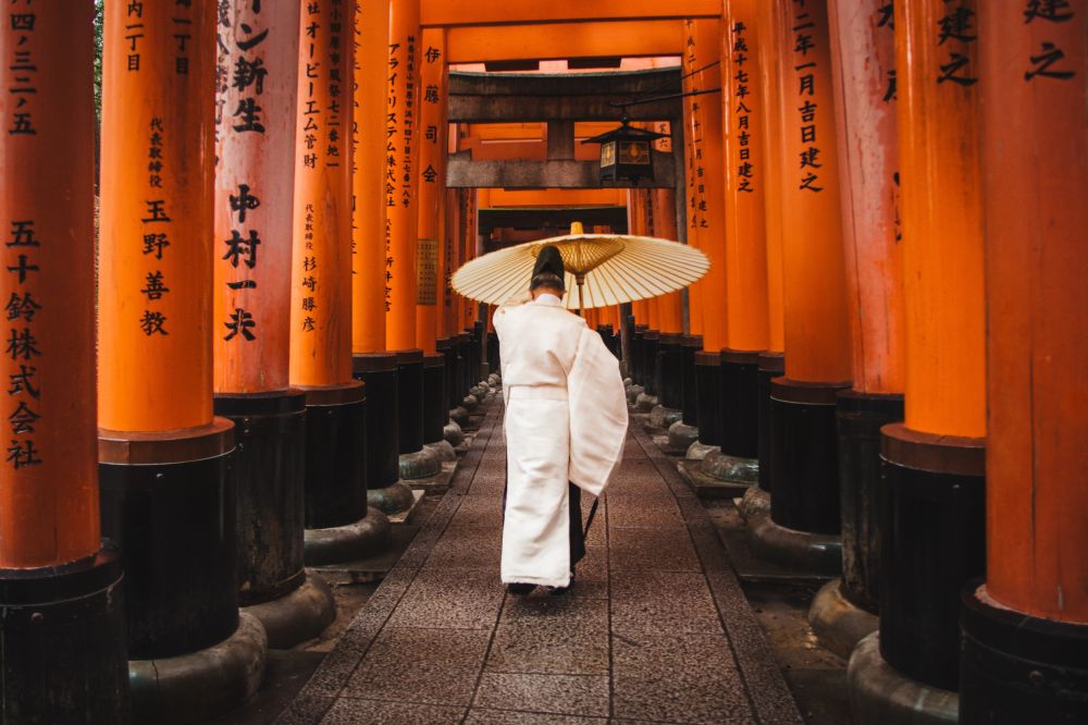 Japan Great discovery 2026