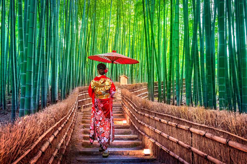 Japan Great discovery 2026