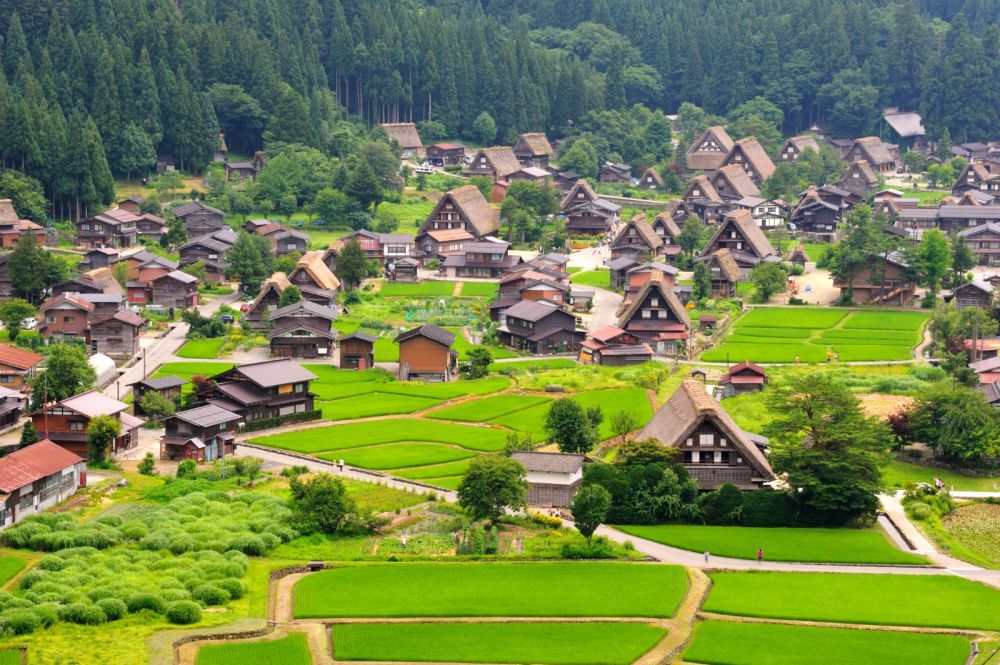 Japan Great discovery 2026
