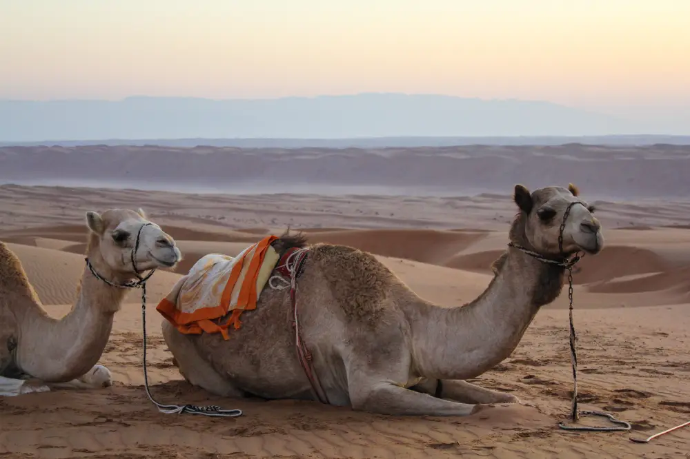 Spain, Portugal & Morocco 2026