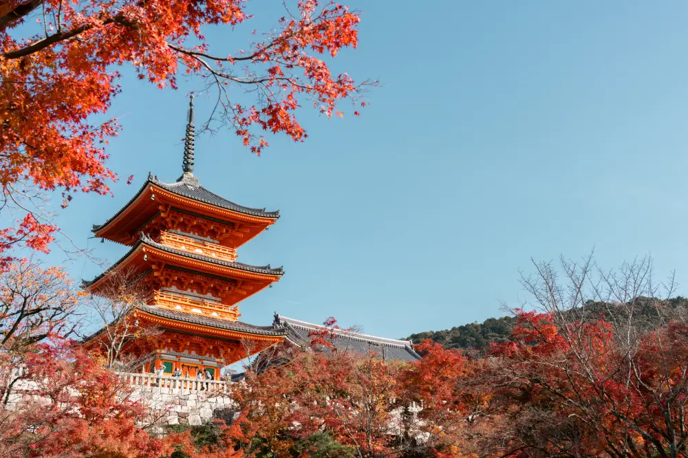 Le Japon en train