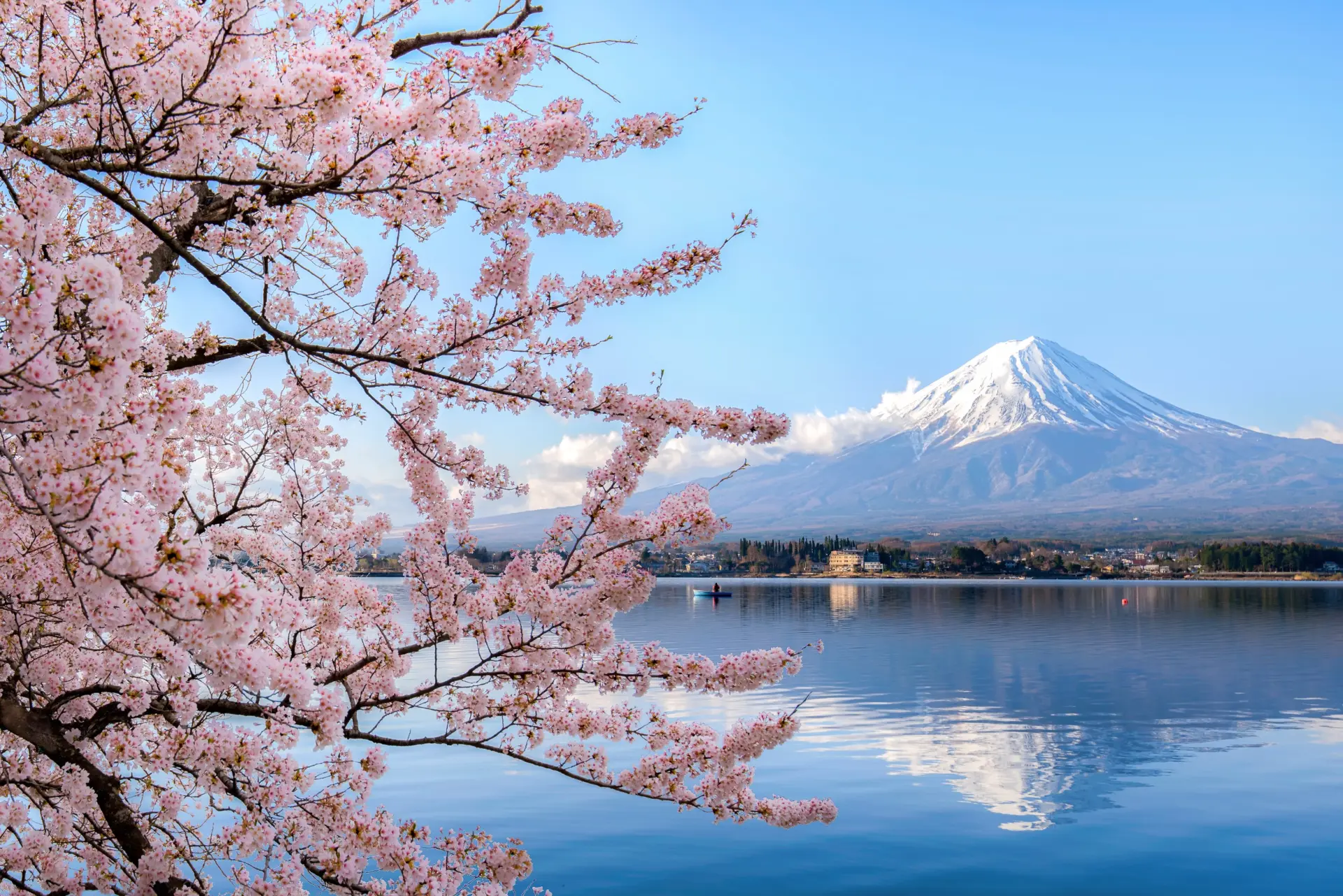 Le Japon en train