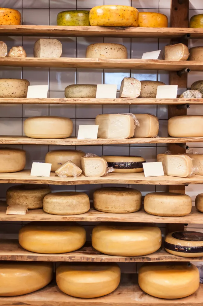 Holland and its Tulips 2026