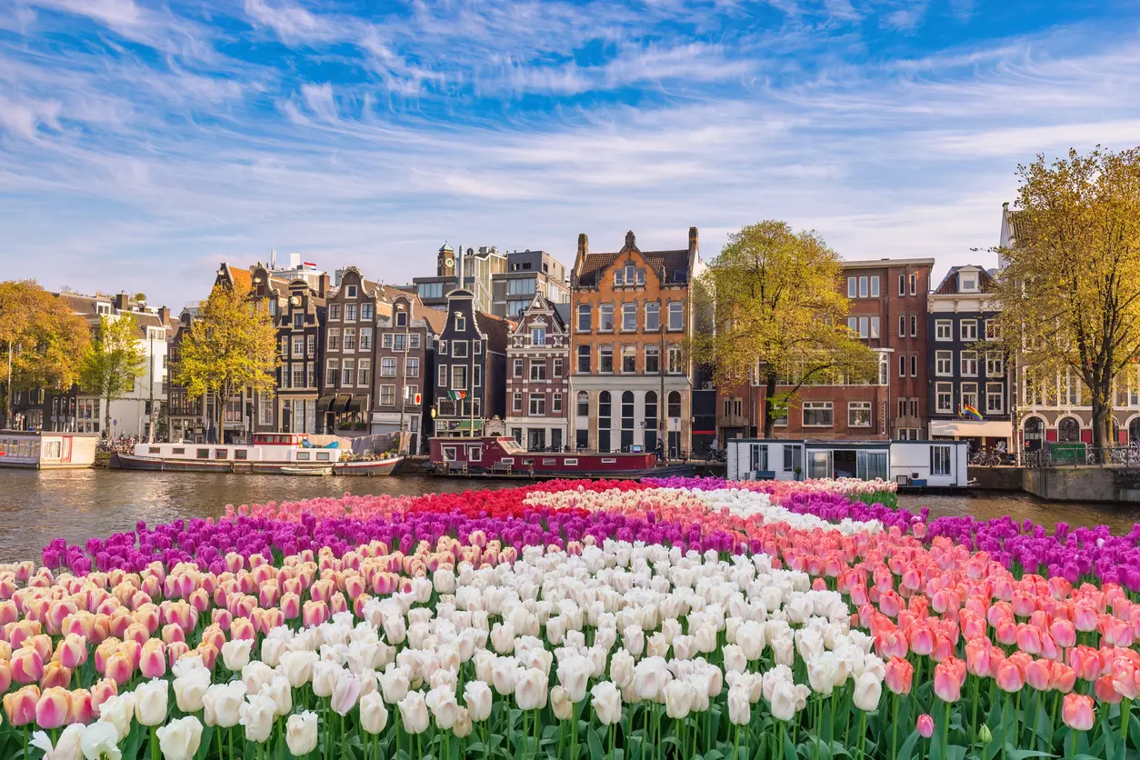 Holland and its Tulips 2026