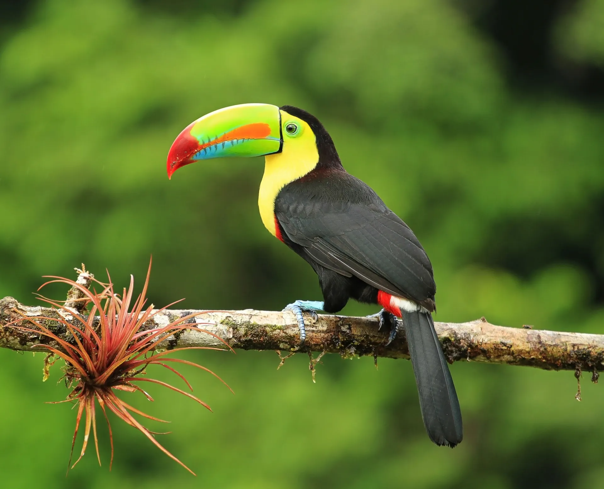 Escapade au Costa Rica