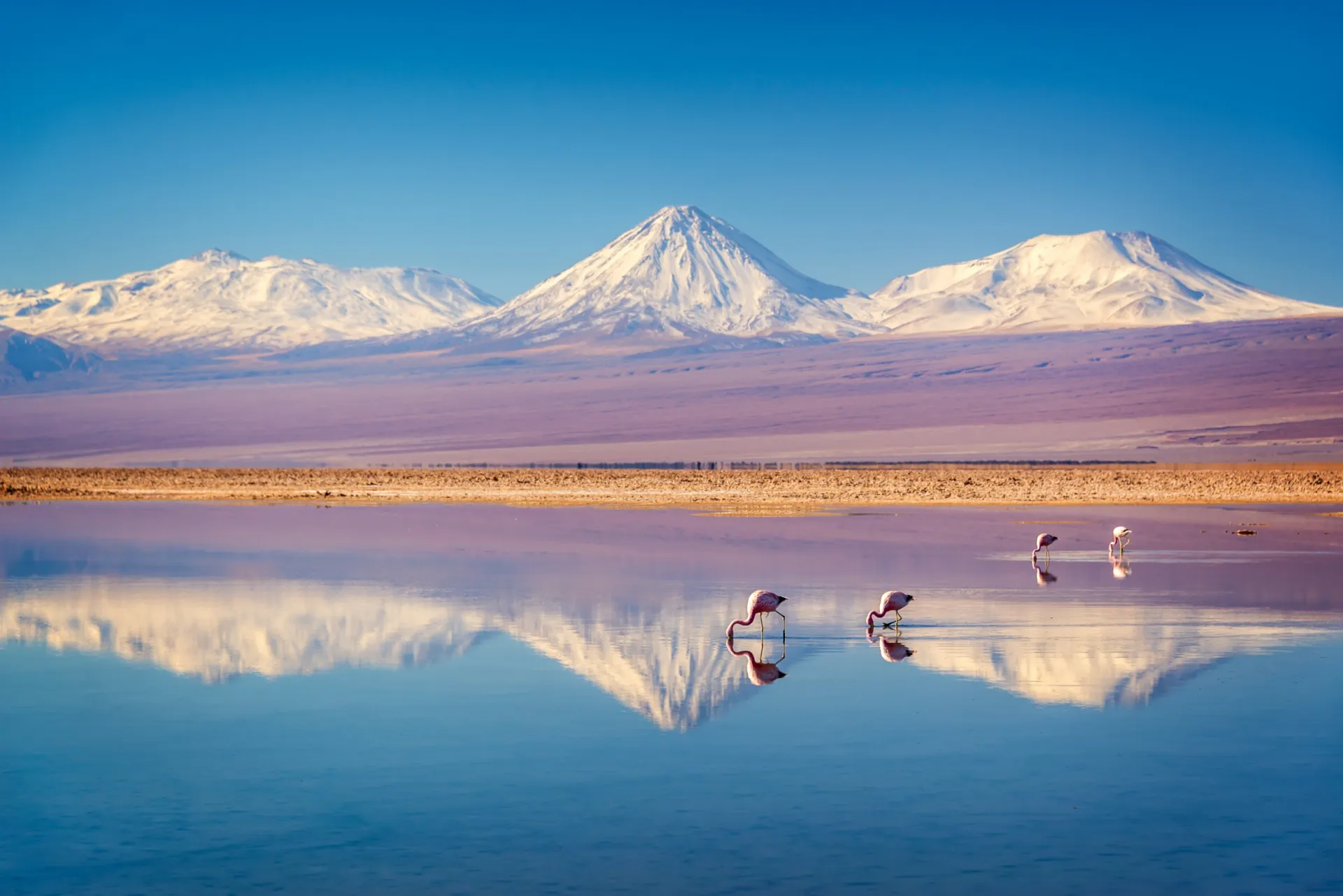 Best of Chile