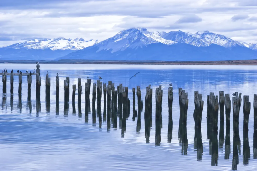 Le meilleur du Chili