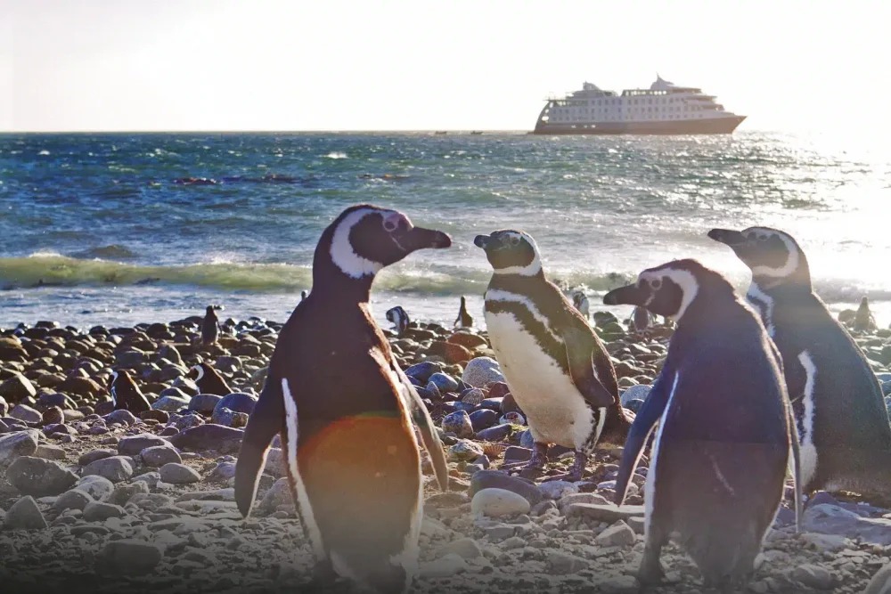 Patagonia Cruise