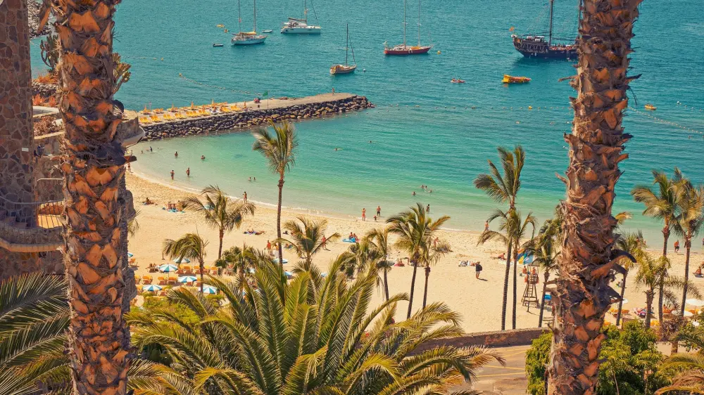 Canary Islands Cruise