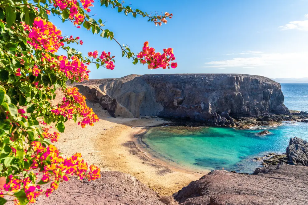 Canary Islands Cruise