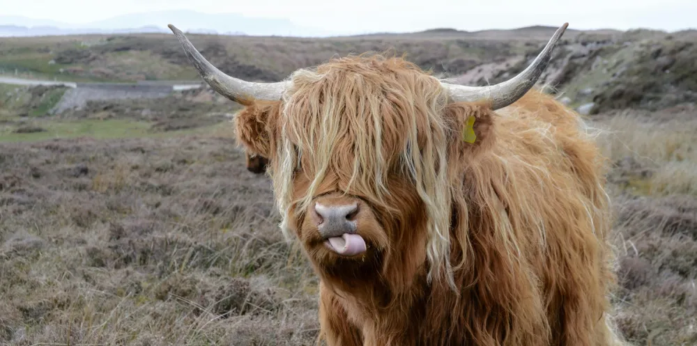 Best of Scotland 2027